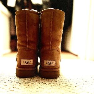 Chestnut Uggs